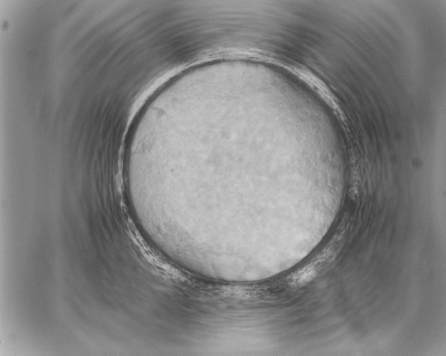 X0000057580904200510171704