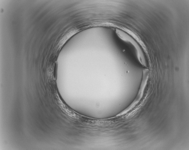 X0000057580905200510171704