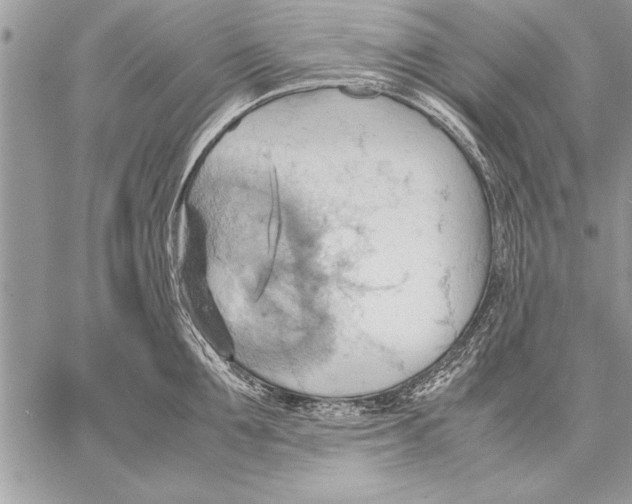 X0000057580907200510171704