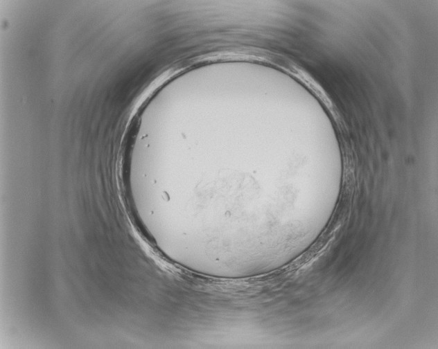 X0000057580909200510171704