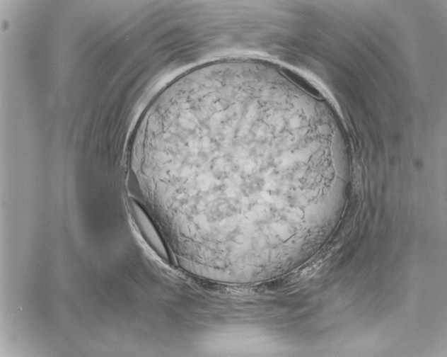 X0000057580911200510171704