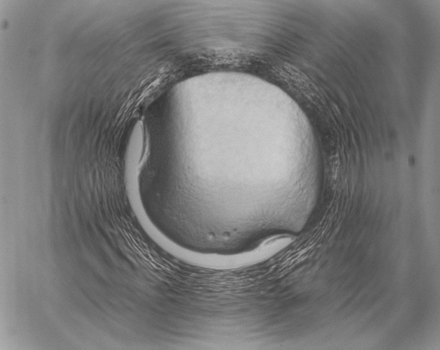 X0000057580916200510171704