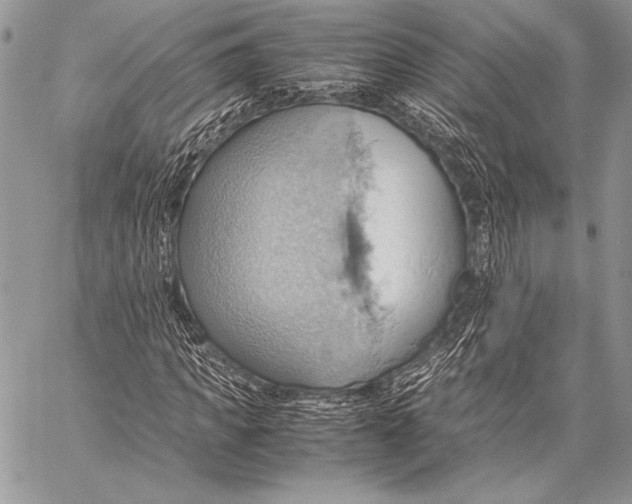 X0000057580917200510171704