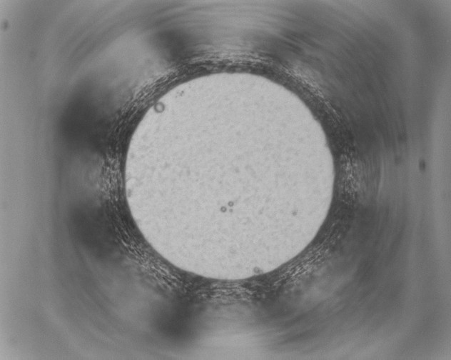 X0000057580918200510171704