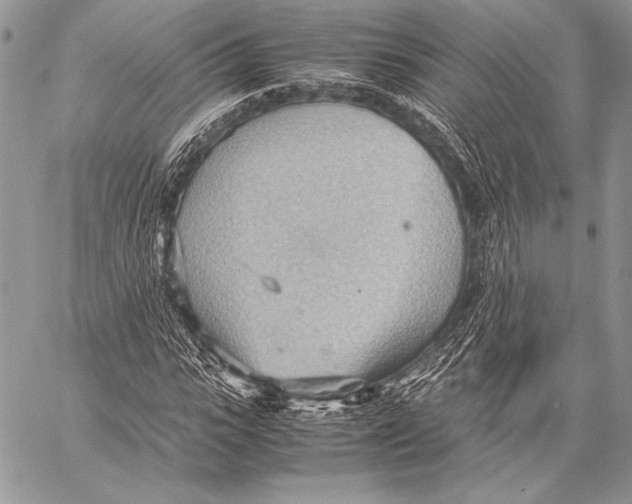 X0000057580919200510171704