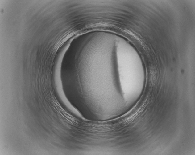 X0000057580921200510171704