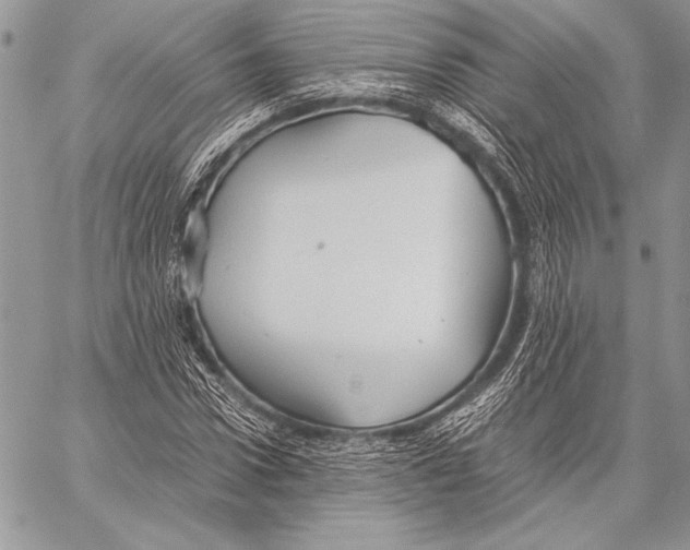 X0000057580922200510171704