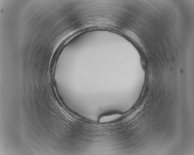 X0000057580924200510171704