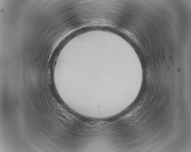 X0000057580926200510171704