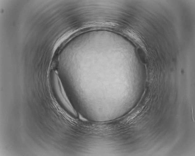 X0000057580928200510171704