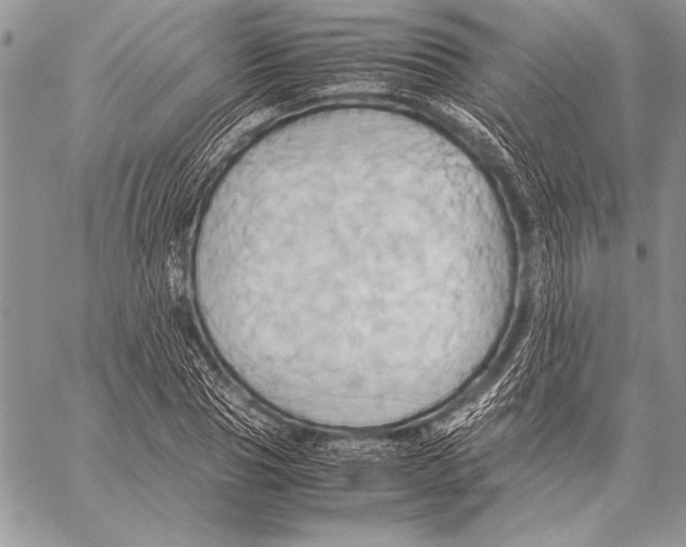 X0000057580929200510171704