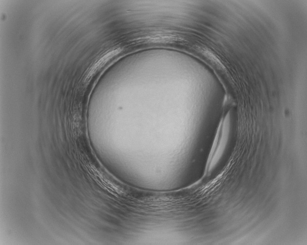 X0000057580930200510171704