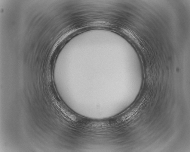 X0000057580931200510171704