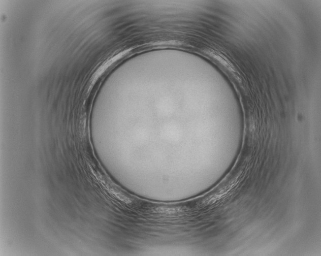 X0000057580933200510171704