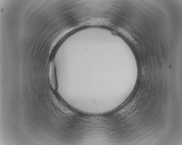 X0000057580934200510171704