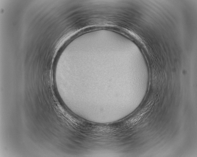 X0000057580935200510171704