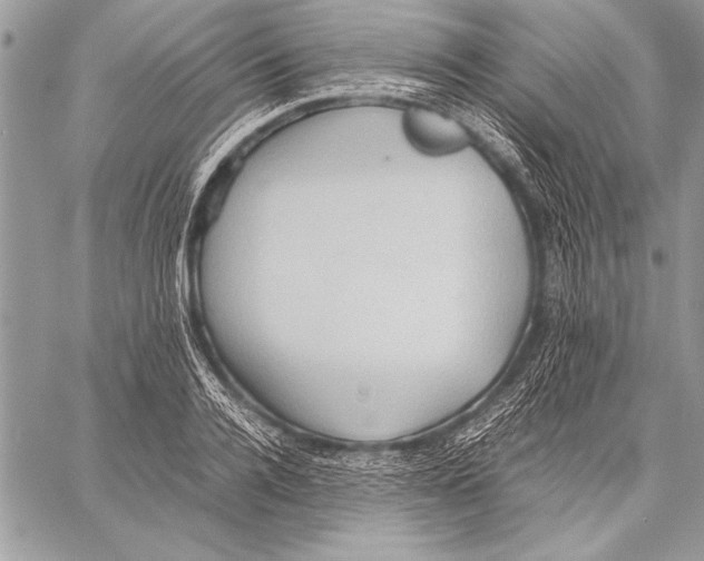 X0000057580936200510171704