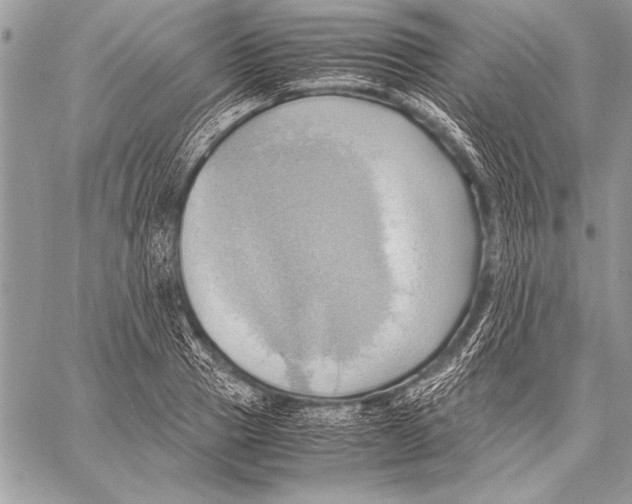 X0000057580937200510171704