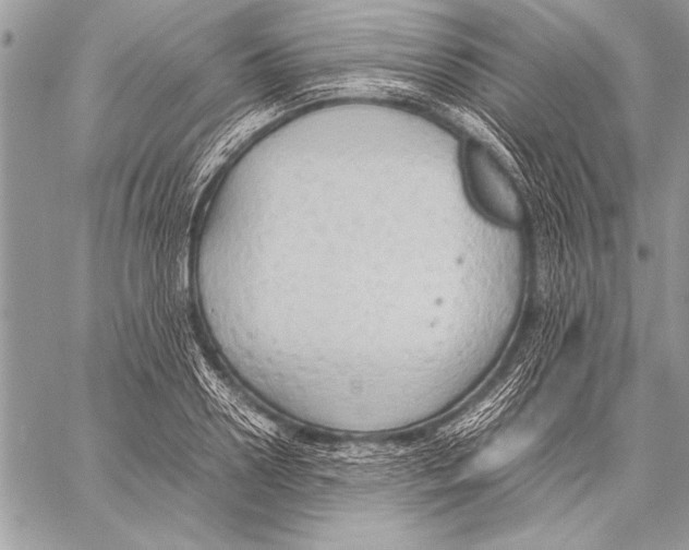 X0000057580938200510171704