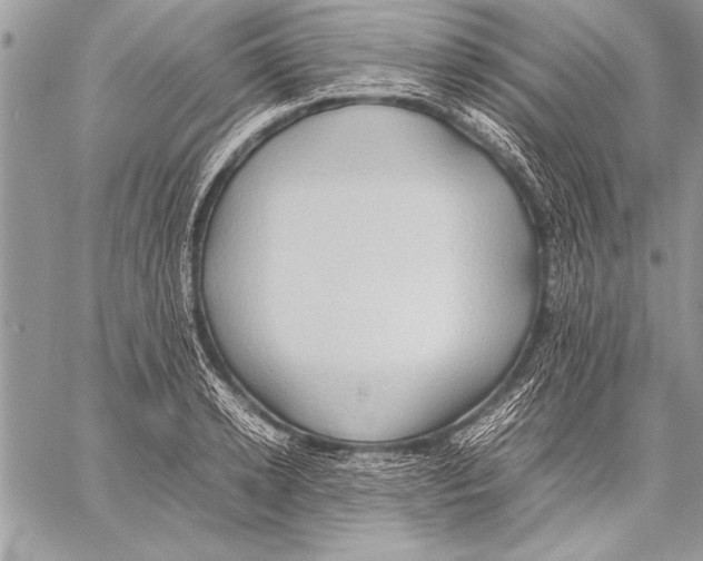 X0000057580942200510171704