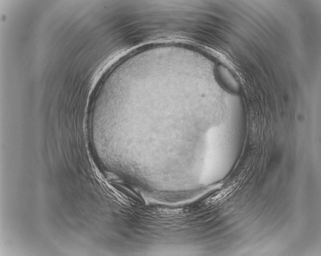 X0000057580943200510171704