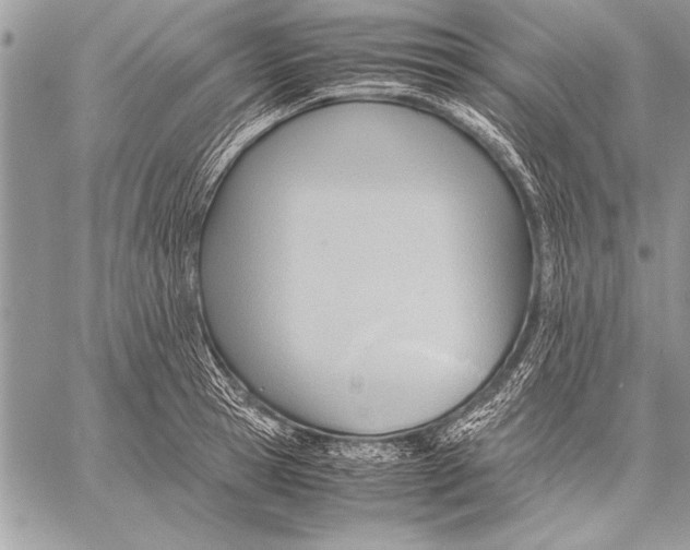 X0000057580945200510171704