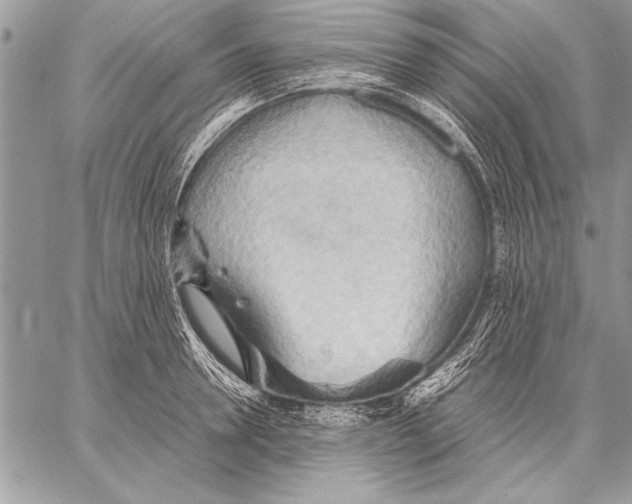 X0000057580946200510171704