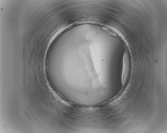 X0000057580949200510171704