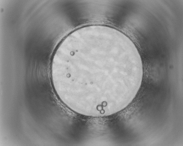 X0000057580950200510171704