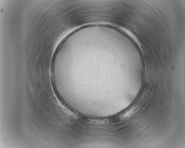 X0000057580951200510171704