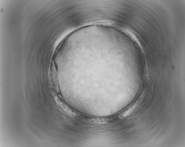 X0000057580952200510171704