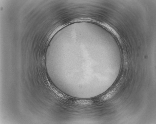 X0000057580953200510171704