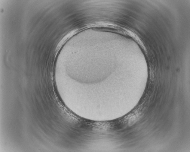 X0000057580954200510171704