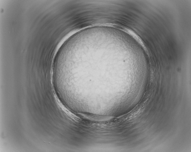 X0000057580955200510171704