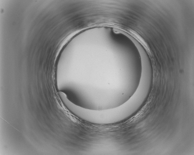 X0000057580956200510171704