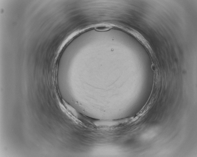 X0000057580958200510171704