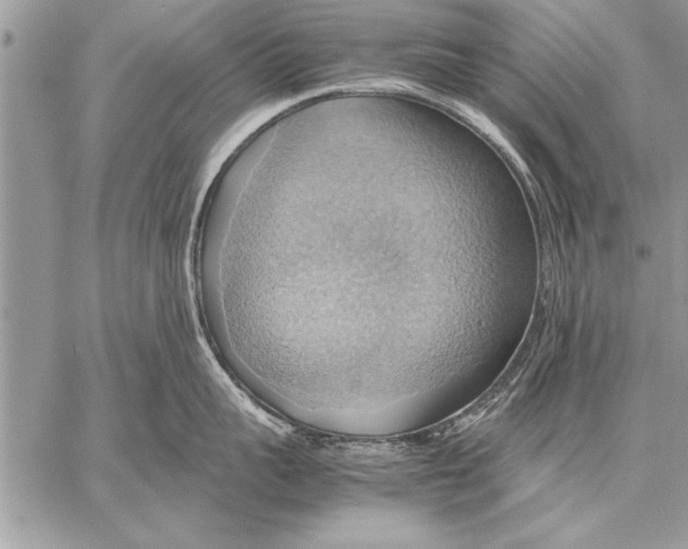 X0000057580959200510171704