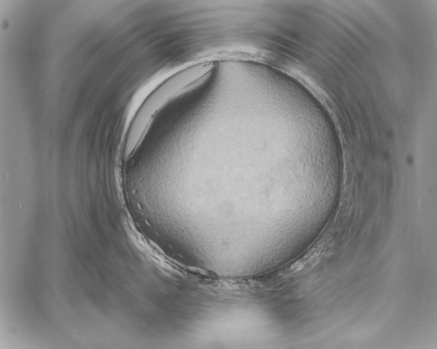 X0000057580960200510171704