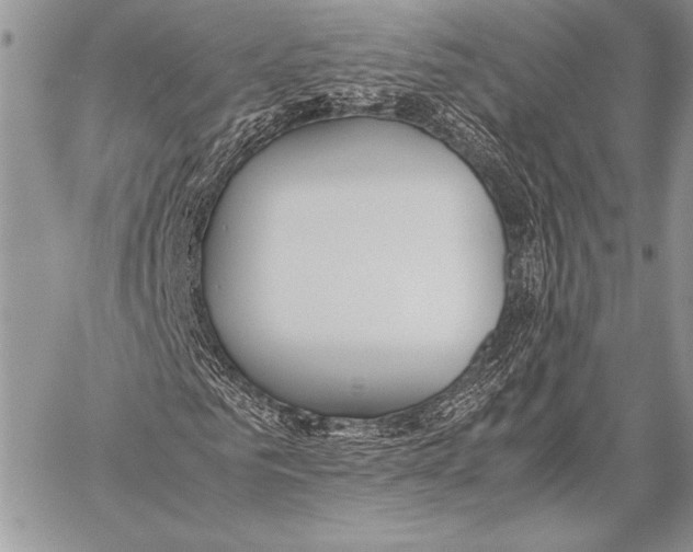 X0000057580961200510171704