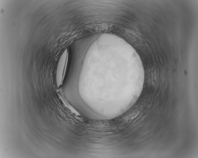 X0000057580962200510171704