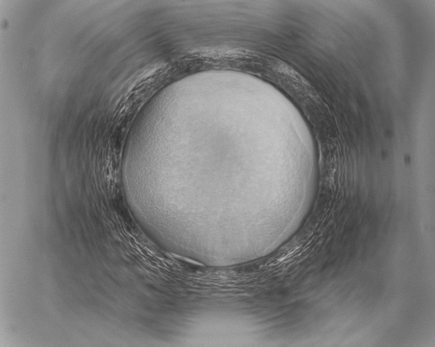 X0000057580966200510171703