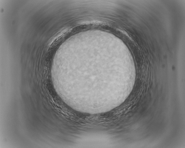 X0000057580967200510171703