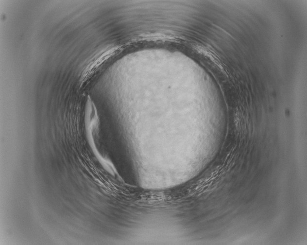 X0000057580968200510171703