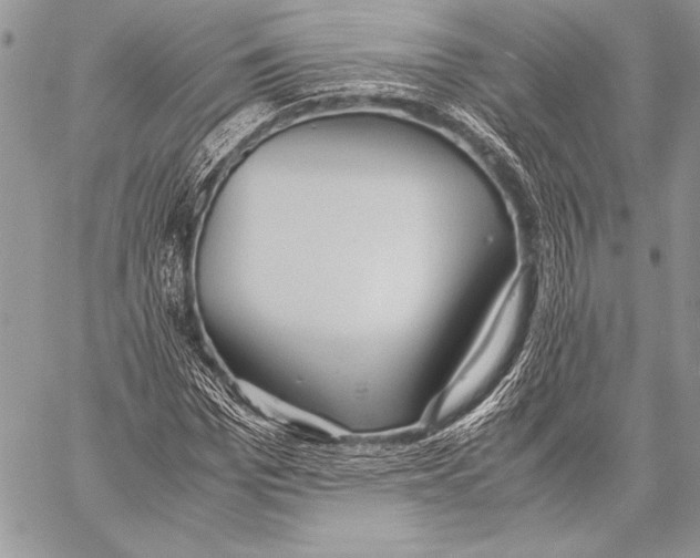 X0000057580969200510171703