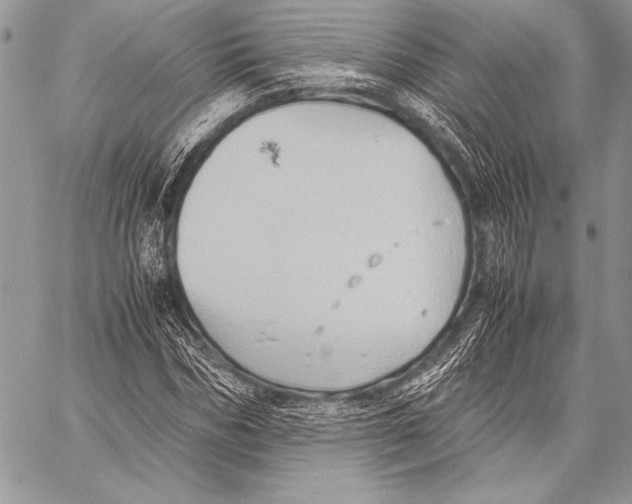 X0000057580970200510171703