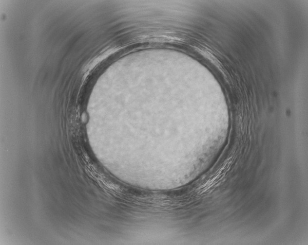 X0000057580971200510171703