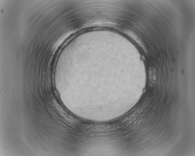 X0000057580972200510171703