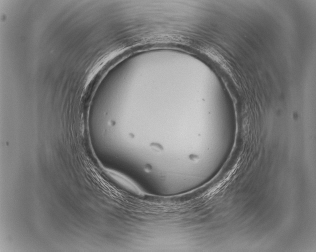 X0000057580973200510171703