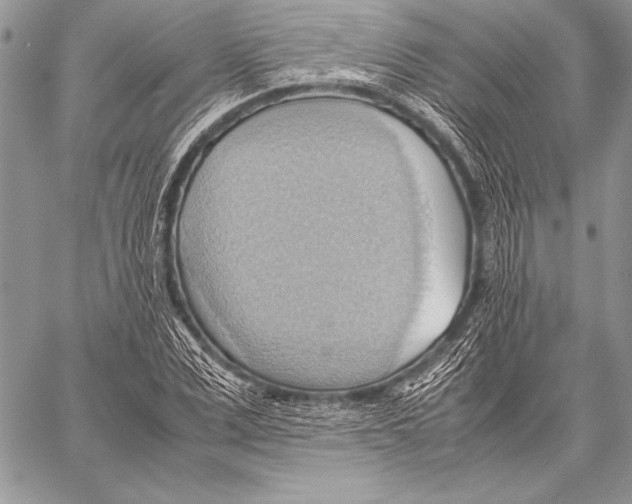 X0000057580975200510171703