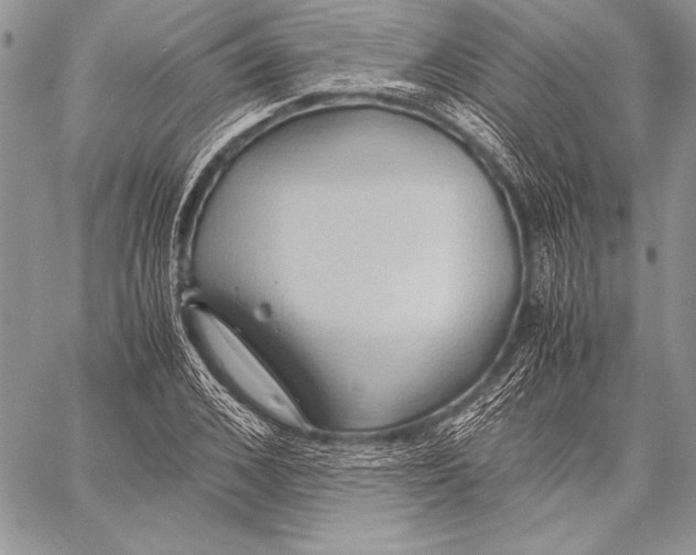 X0000057580976200510171703